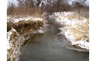 Property photo 2 - 42 Acres Offered in 3 Tracts